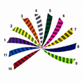 Professional 4" Shield-Cut Barred Feathers - Natural Tiger-Stripe Turkey Quills | 50 Pack