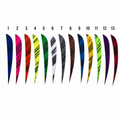 Inferno Series: 5" Teardrop Exotic Barred Feathers - Wildfire Pattern Natural Turkey Fletching | 50 Pack
