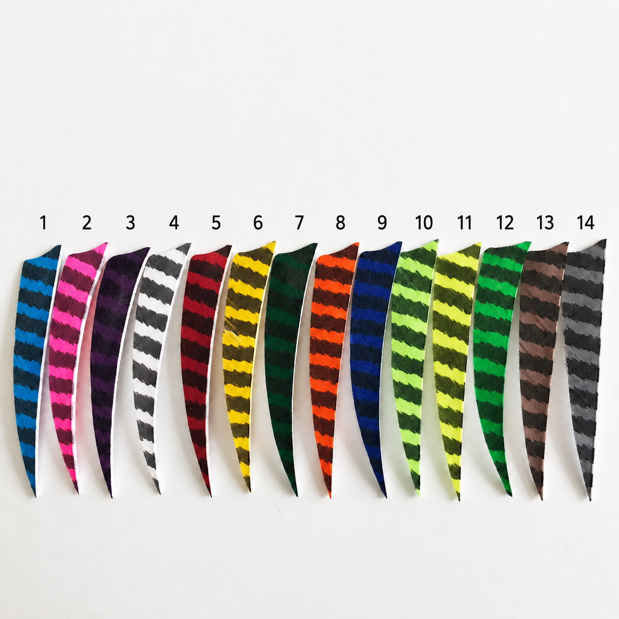 Professional 4" Shield-Cut Turkey Feathers - Natural Barred Pattern | 50 Pack (Left & Right Wing Available)
